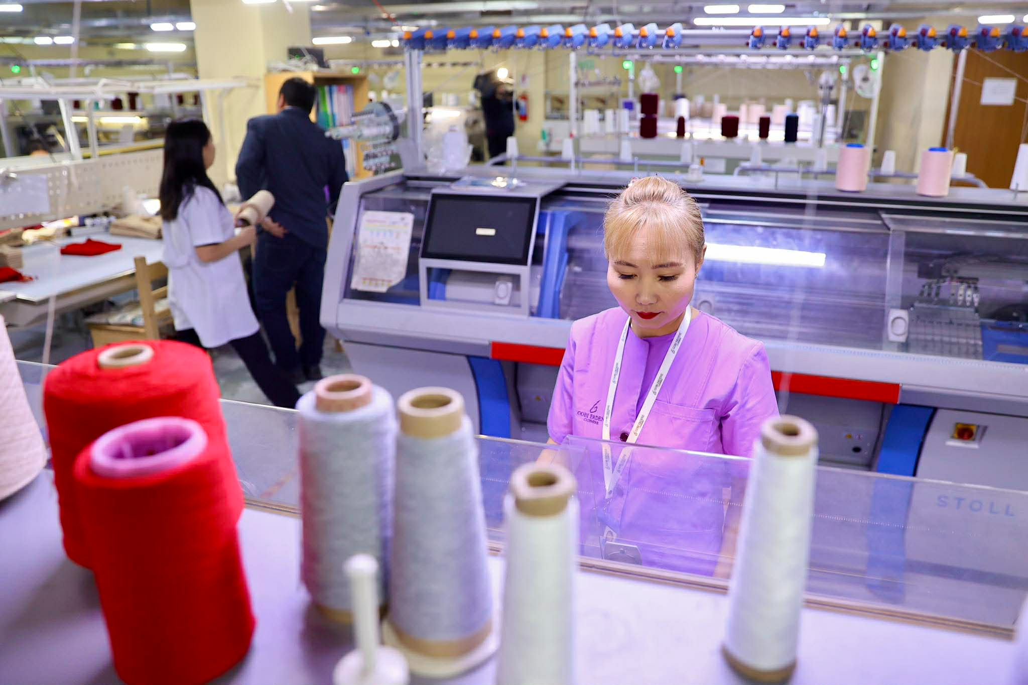 “Цагаан алт” хөтөлбөрийн дүнд самнасан ноолуурын экспорт 330 сая ам.долларт хүрлээ